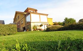 La Casa De Las Palas Tok-Pok